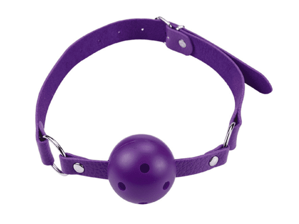 Couple's Bondage Kit with Whip - BDSM - Image 3